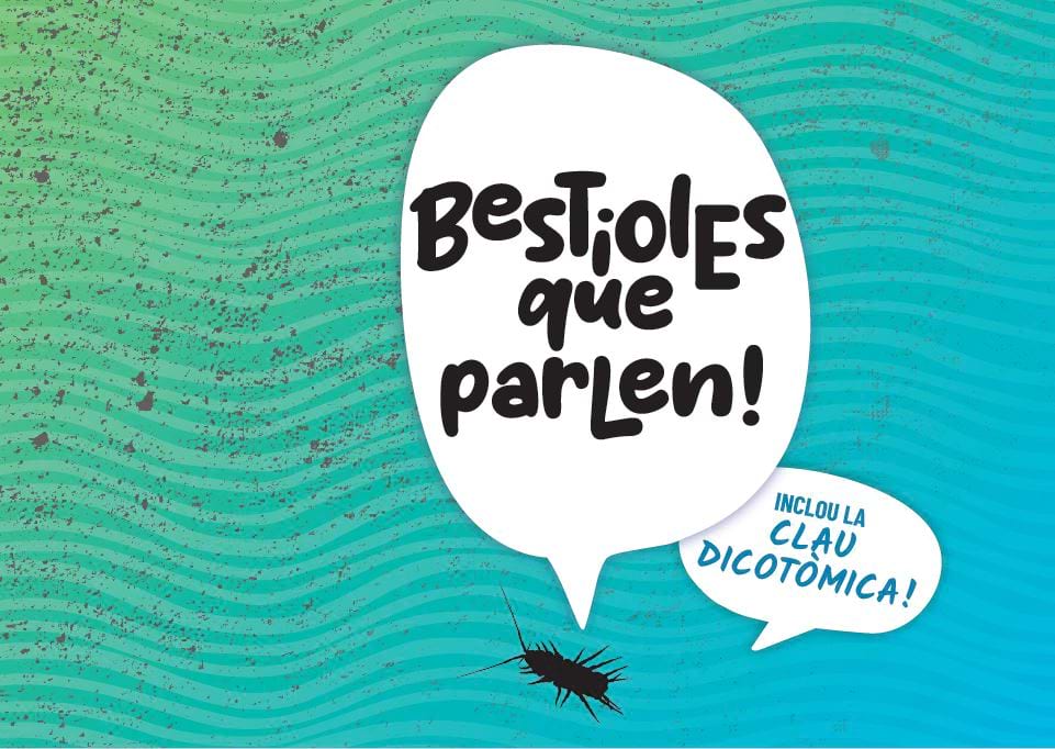 Bestioles que parlen! – El joc dels macroinvertebrats aquàtics